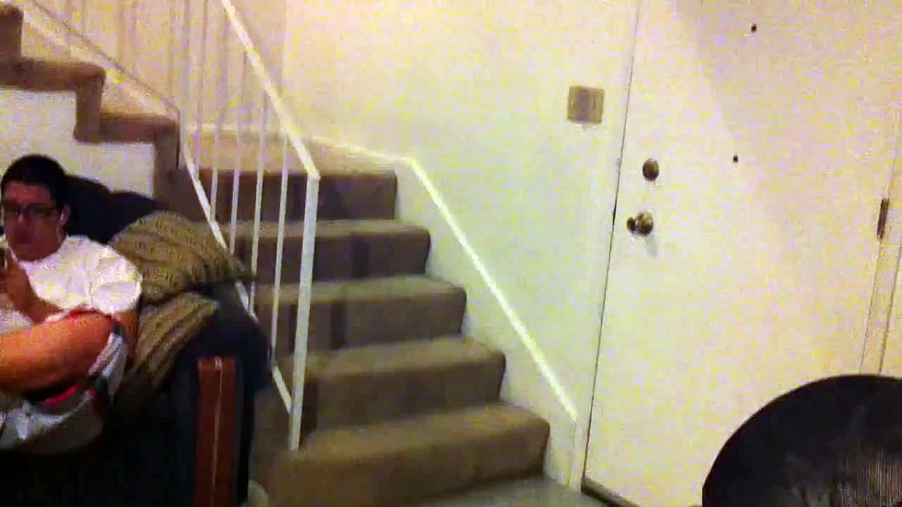 Honey badger don't give a shit! 2