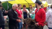 В Ленинградской области на избирательный участок привели медведя