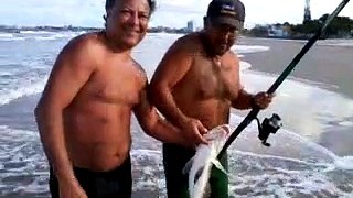 Pesca Miraguaia Guaratuba-PR