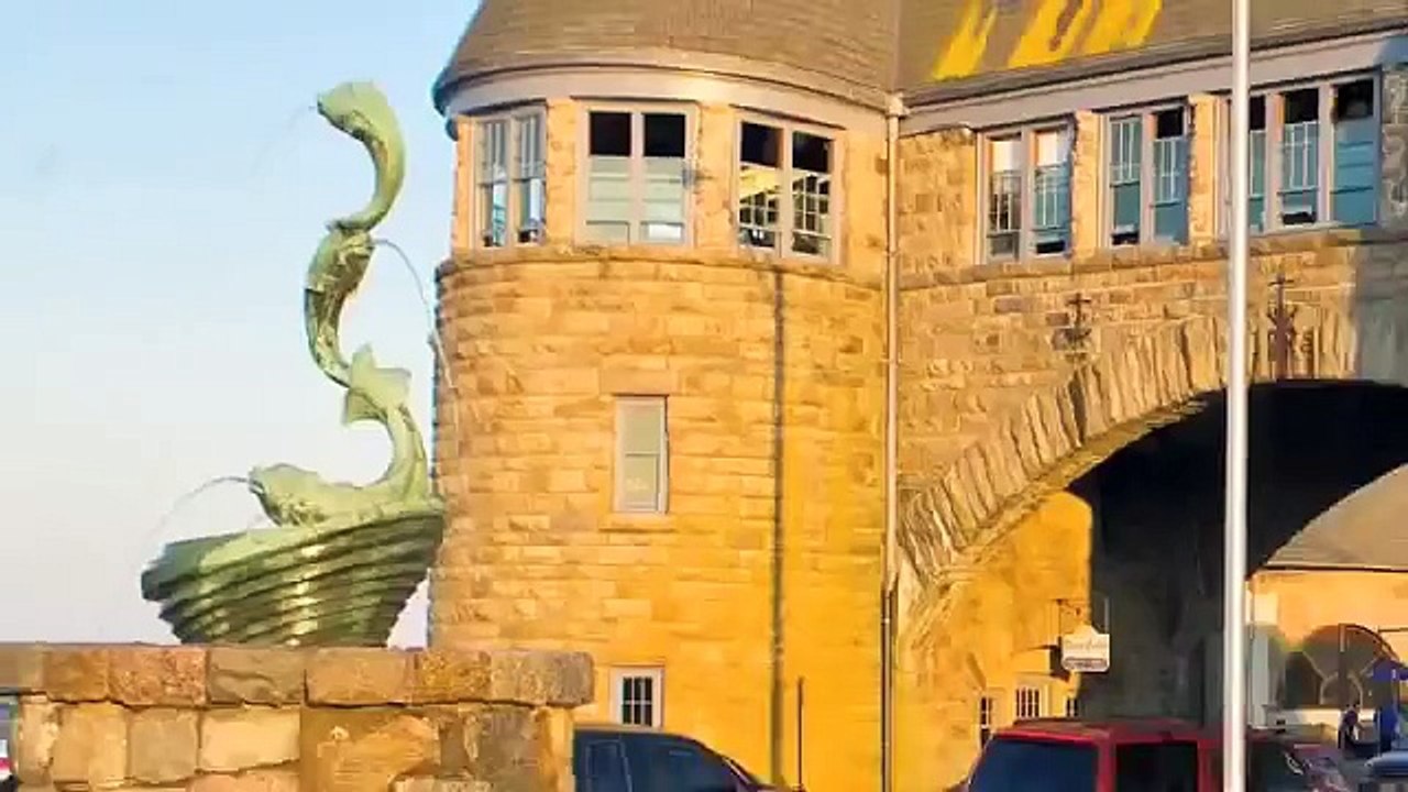 RI SHARK WEEK: GoLocalProv Swims with Sharks