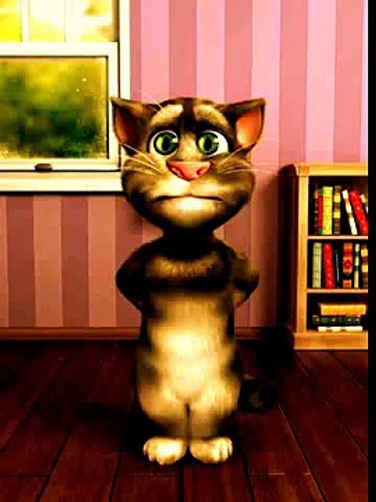 Tom le chat
