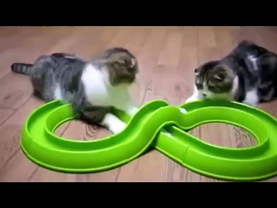 ULTIMATE Funny Cats Fail Compilation 30 minutes (2014)
