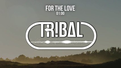 GRiZ - For The Love ft. Talib Kweli (Big Wild Remix)
