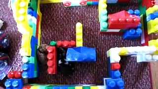 Hamster maze