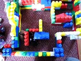 Hamster maze