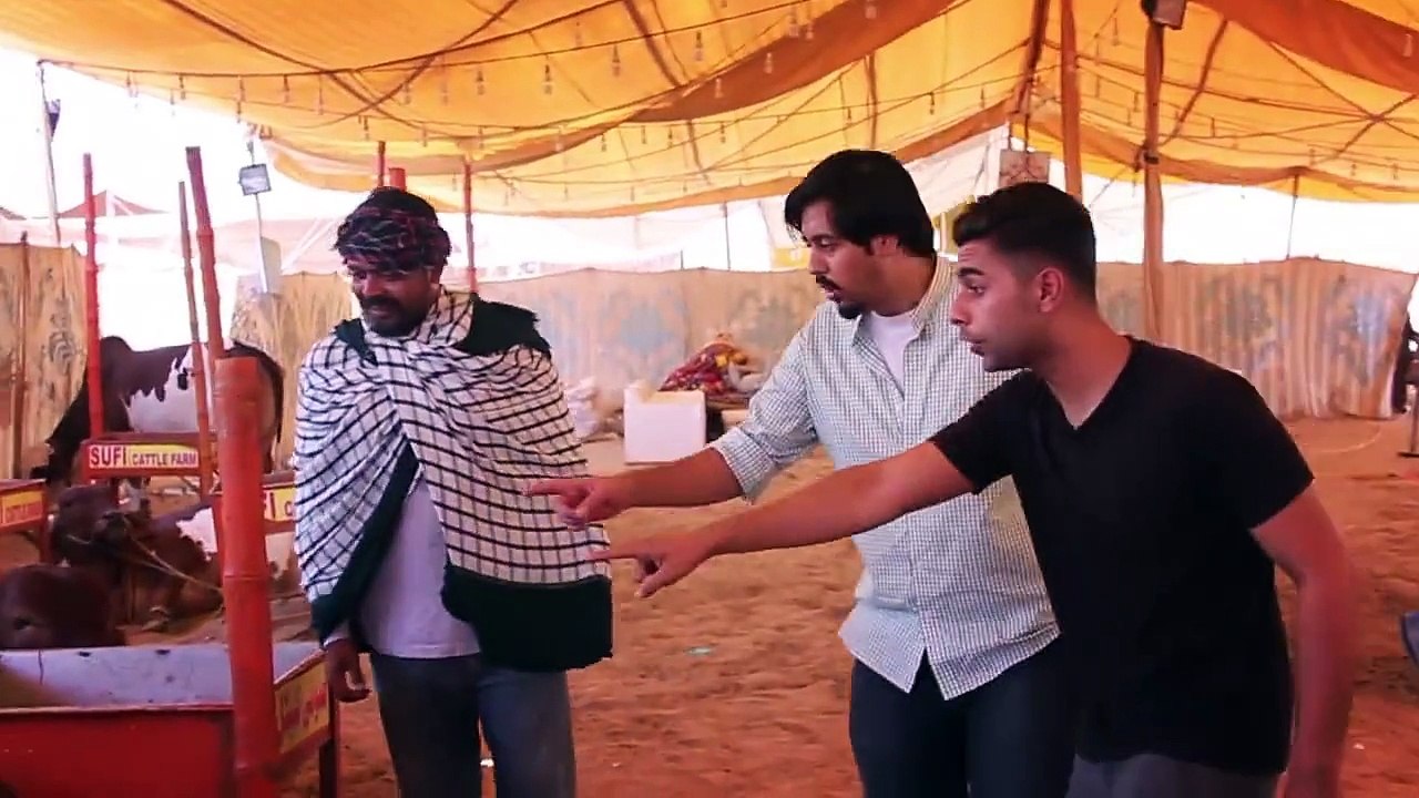 Bekaar Vines - Some of your mandi moments