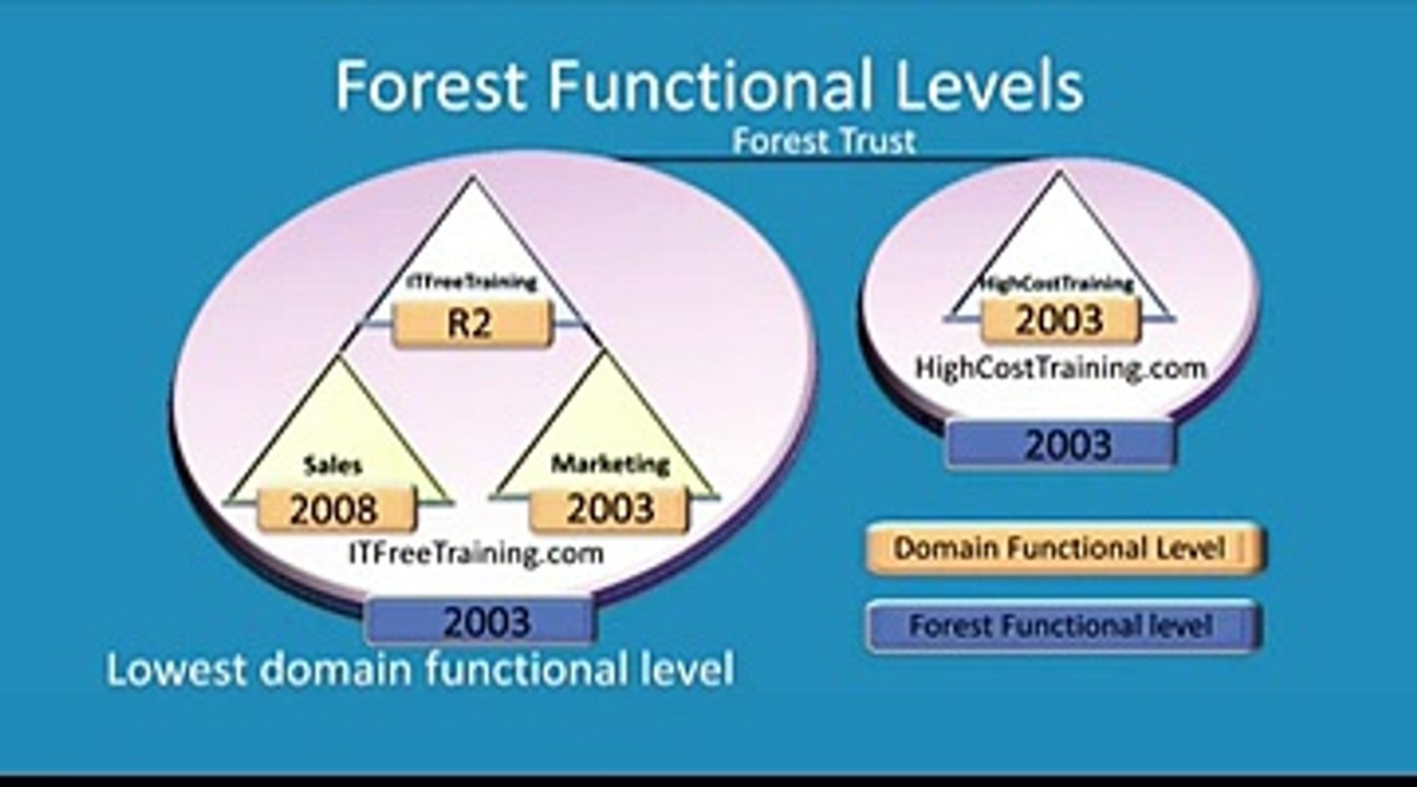 15 Forest Functional Levels Segment 0 x264