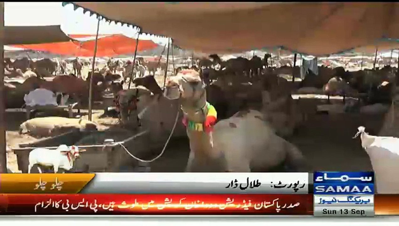 Qurbani k Janwar pr sajwat ku dakhiye