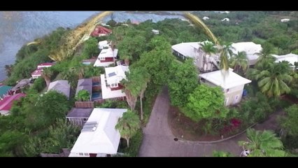 Miss-Martinique : Maud Sicos MISS 11 AU 97000