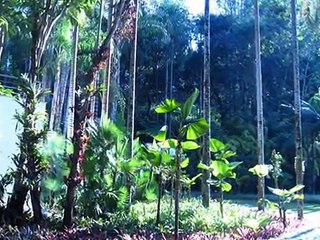 Inhotim...pedaço do Paraiso