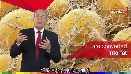 Jeunesse Longevity TV 10  Zen Bodi chinese subtitle