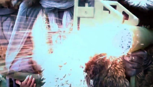 Tsui Hark's THE TAKING OF TIGER MOUNTAIN Trailer (2015)