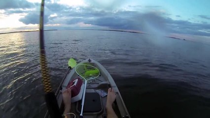 Download Video: Shark Attacks Red Drum (Redfish) While Kayak Fishing