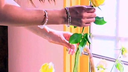 Summer Scent ost Hương Mùa Hè