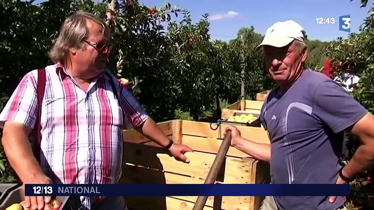 La main tendue des maraîchers aux réfugiés