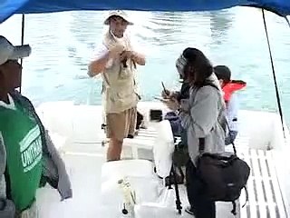 Ballenas Jorobadas