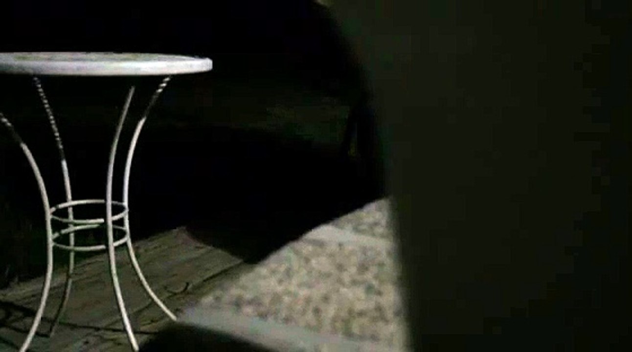 GrumpyStrings and the HopeFiends "ShellShock" acoustic folk punk Blues Thrashgrass freestyle. Houst