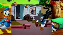 10  Donald Duck Donalds Dream Voice 1948
