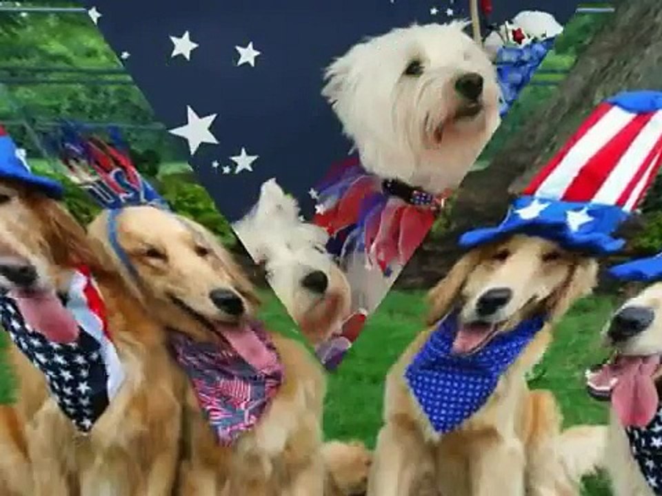 Happy Fourth of July! Patriotic Puppies   LOL!