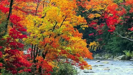 God's Creation, Beautiful landscape with Peaceful Music