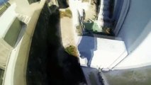 Roof Topping Santorini | Parkour Freerunning