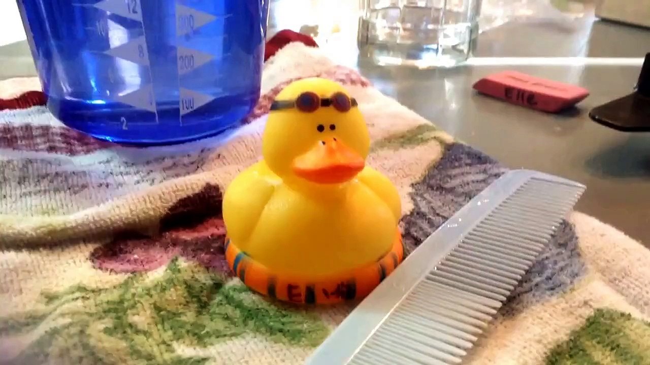 How to make a dunke tank for your duck