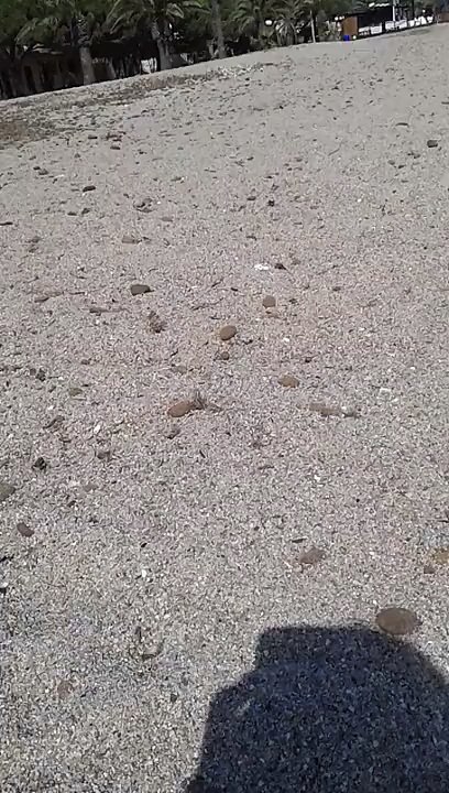 UN UOMO CHE SI FA LA DOCCIA