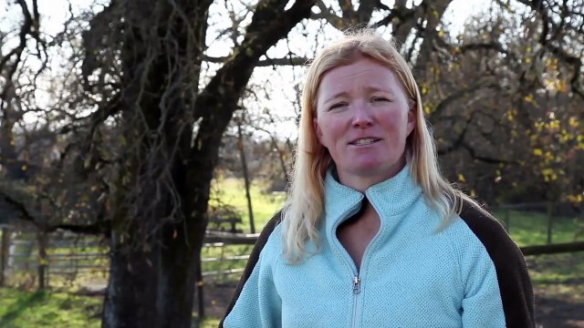 Cavaletti Training for Horses with Erika Jansson, Dressage Trainer