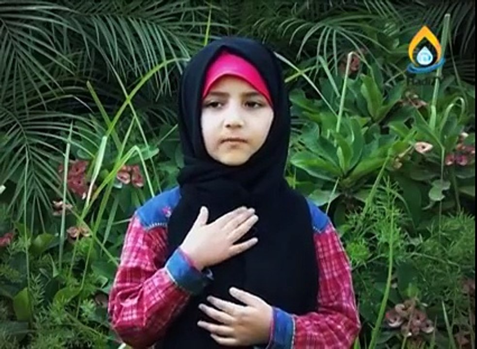 hady tv (3)