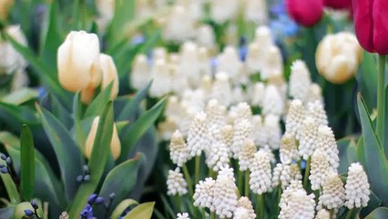 Upside down french braid bun tutorial for school on yourself