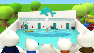 Musti 3D - Dolly the dolphin