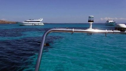 Tra-Isola-Piana-e-Asinara