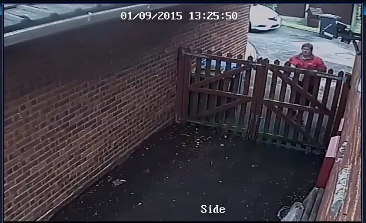 Express parcel delivery