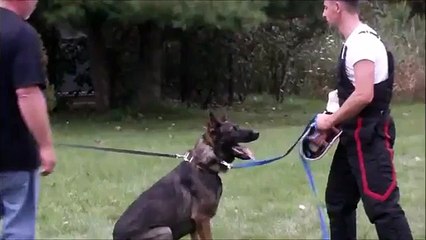 Whiskey-Mike-Vio-Day2-C