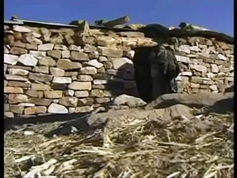 Eritrea Ethiopia Border War - 123,000 Ethiopians Killed