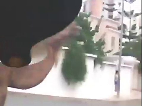 غزوة ‘القعود’ لحي النصر :الجمال ترعى في حي النصر بالعاصمة