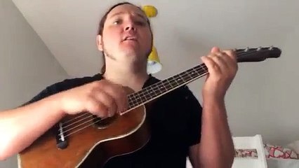 A new way home (Foo fighters) ukulele cover