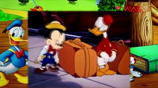 1  Donald Duck Bellboy Donald 1942