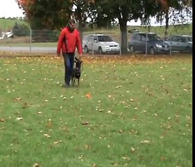 Once Unterordnung 14.10.12