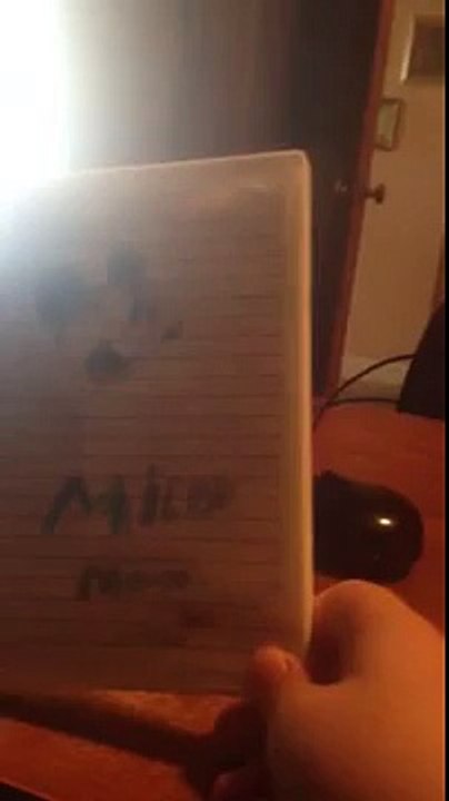Homemade Mickey Mouse dvd