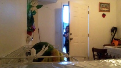 WOOTORMELOAN!!, COMEDY SKITS BY ME