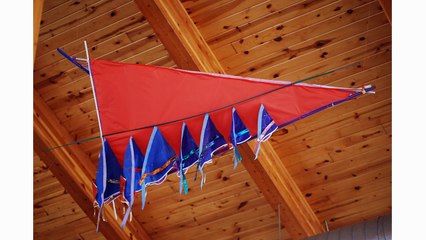 Sam's Tales of Childhood: Death by Kite