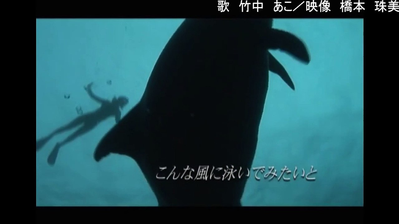 イルカと泳ぐ