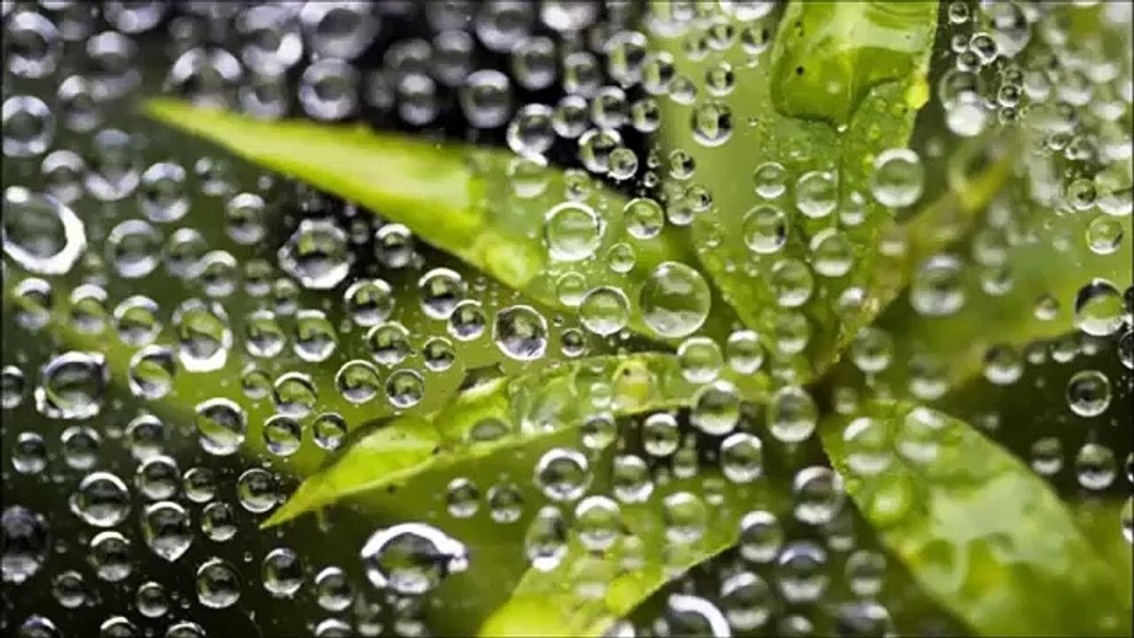 Abraham Hicks-The universe will support every belief that you hold!