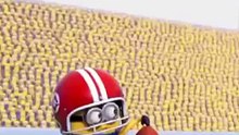 Funny Despicable
