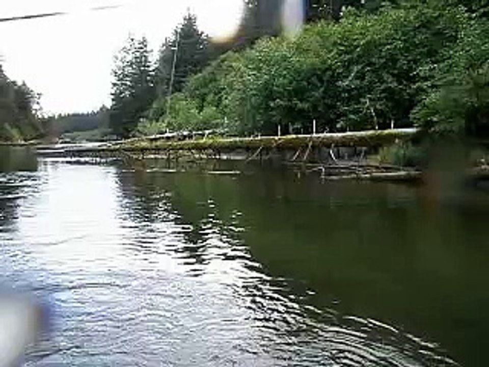 Pink Salmon attack jig