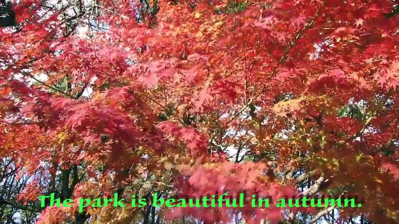 Autumn Scenes at Osaka Castle, Japan
