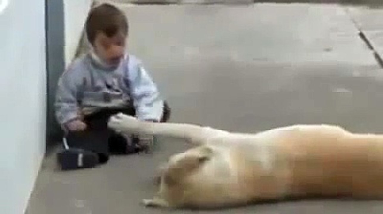 Down Sendromlu Çocuu Elendirmeye Çalan Köpek