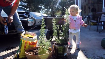 Lyla Helping Gan-Gan Pot the Rosemary