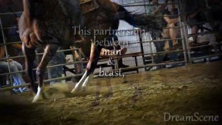 Horse & Rider: Partnership